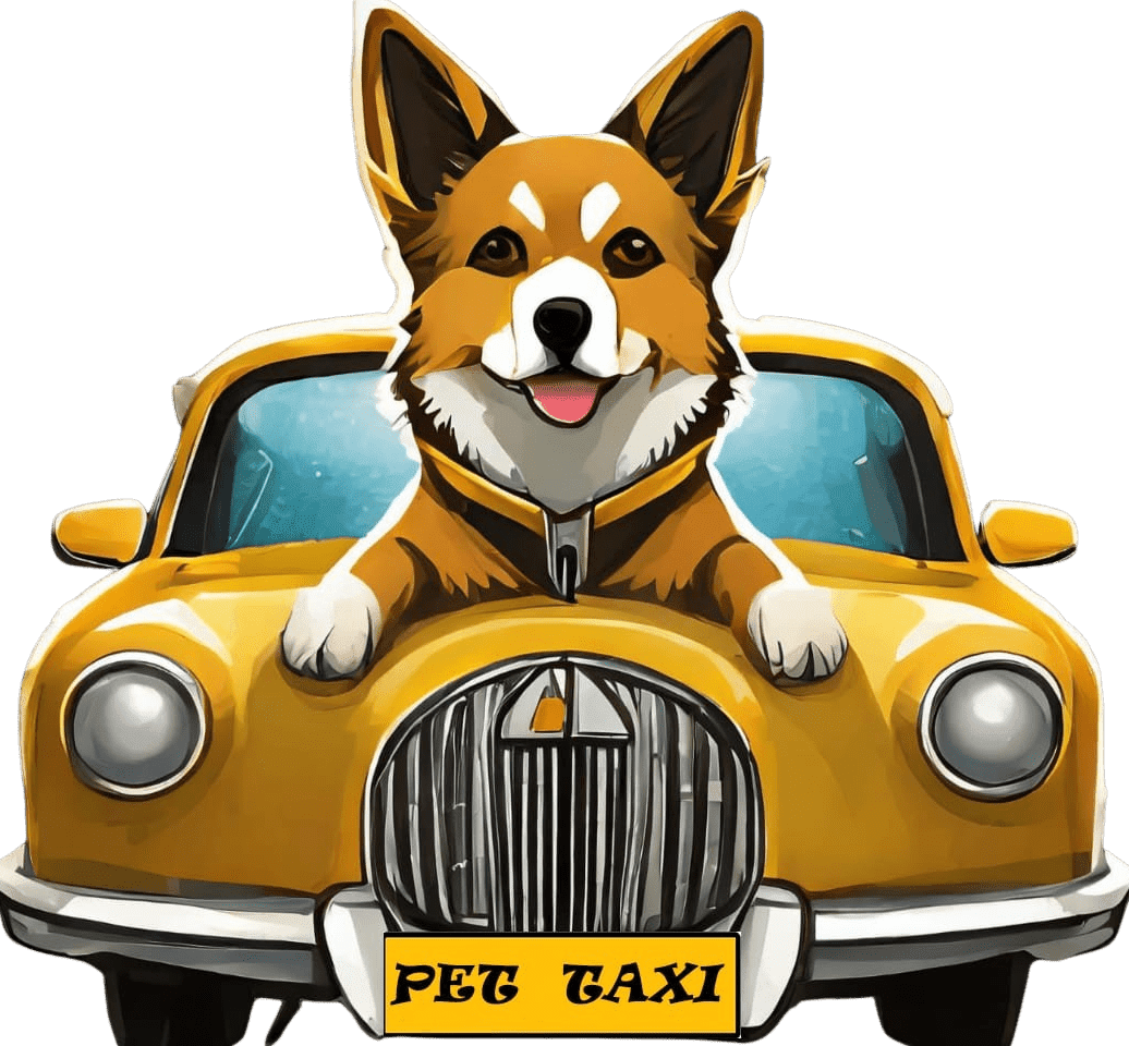 pet taxi express pet taxi near me