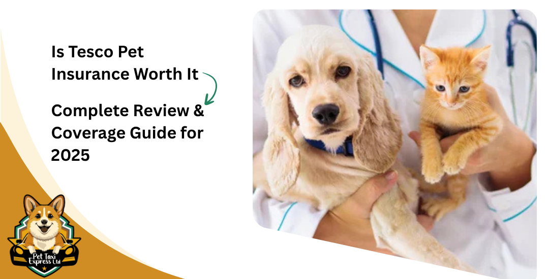 Is Tesco Pet Insurance Worth It? Complete Review & Coverage Guide for 2025