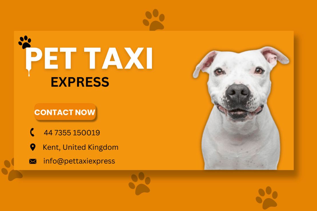  Bark & Ride: Safe and Secure UK Pet Taxi in 2024