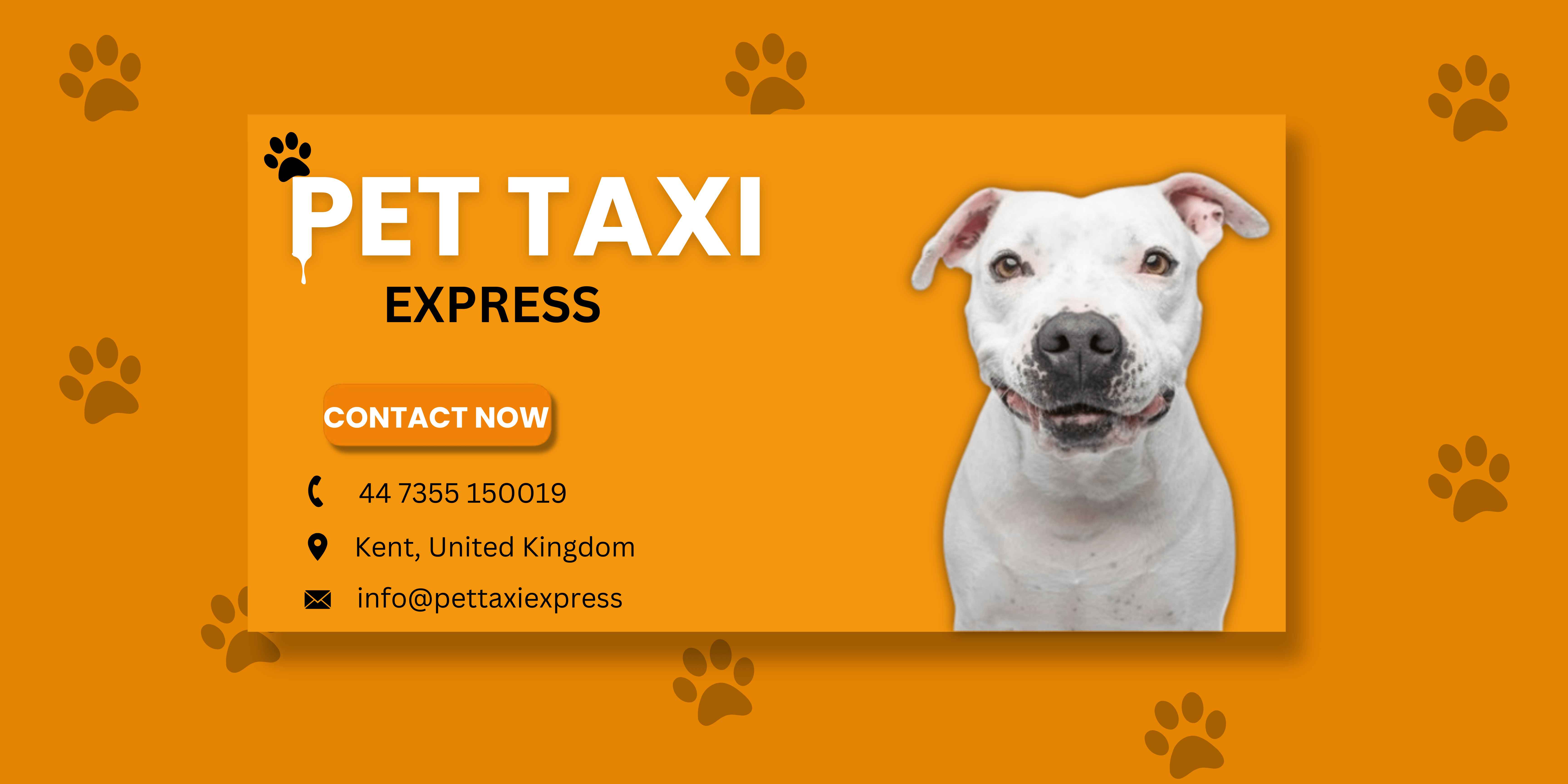 UK Pet Taxi