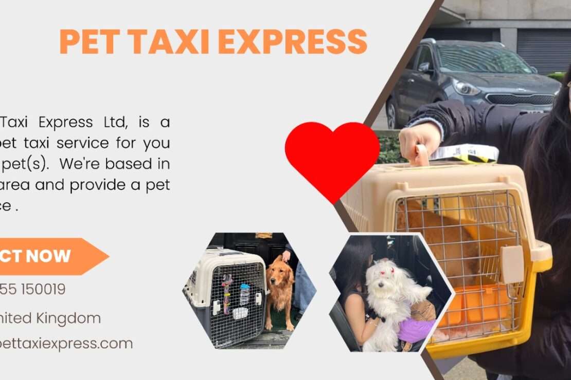  Pawsitively Mobile Your UK Pet Taxi Solution in 2025