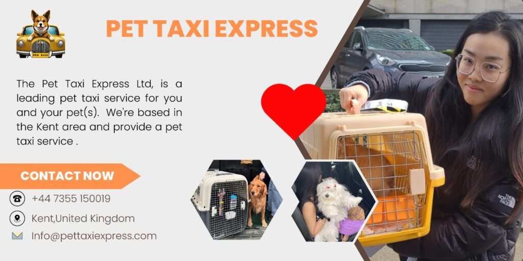 Safe Pet Travel UK