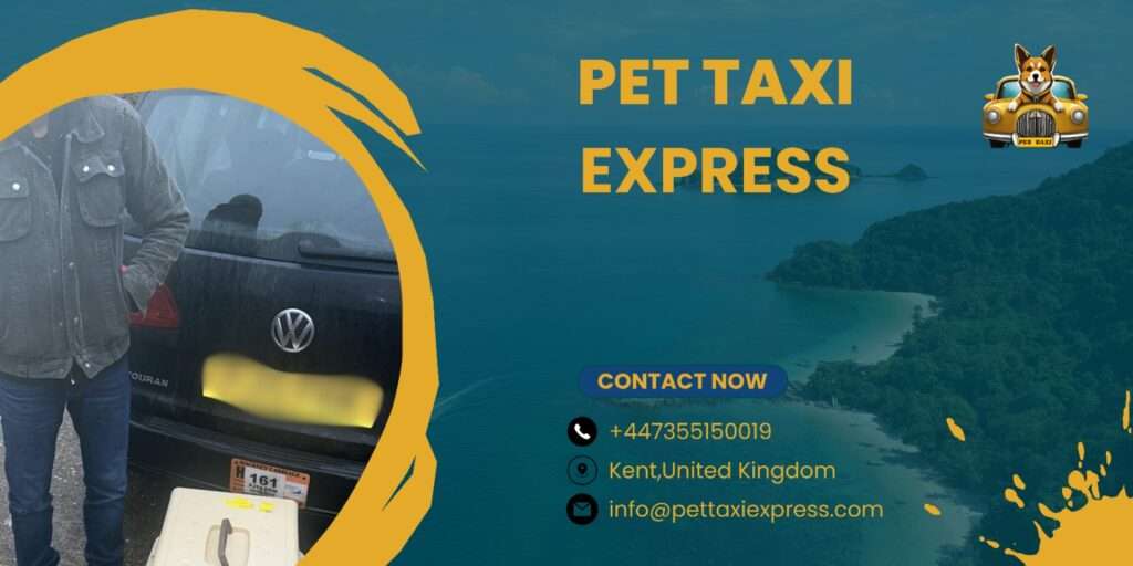 Perfect Dog Taxi Service 2024: Seamless Pet Transportation for Busy ...