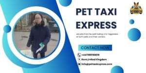 Pet Taxi Express promotional banner with contact details and an image of a person in a winter coat holding papers.