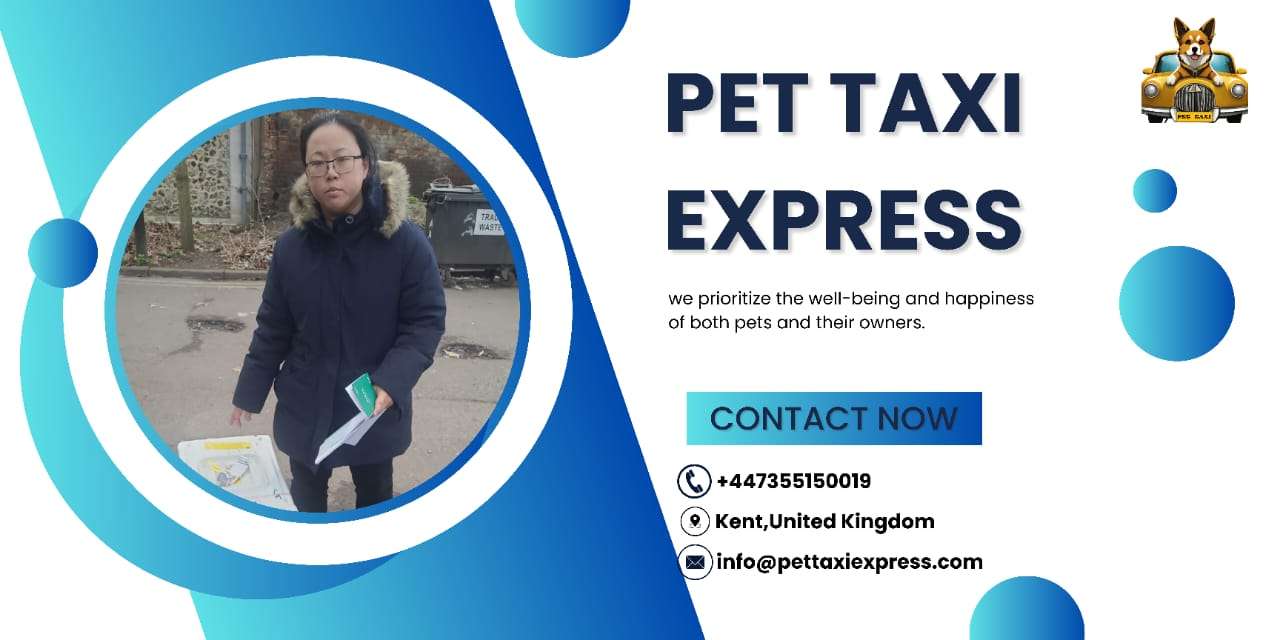 Pet Taxi Express promotional banner with contact details and an image of a person in a winter coat holding papers.