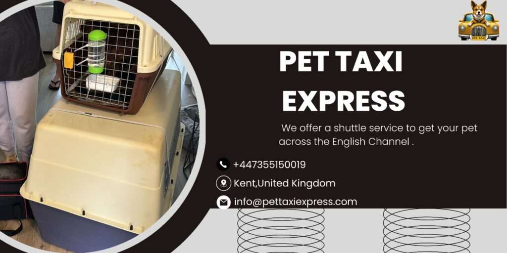 Pet Taxi Eurotunnel