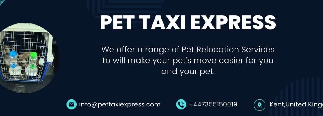  Pet Taxi Eurotunnel Ultimate Comfort for Pets in 2025