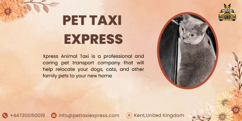 Pet Moving Service 2025 Stress-Free Relocation for Your Pet