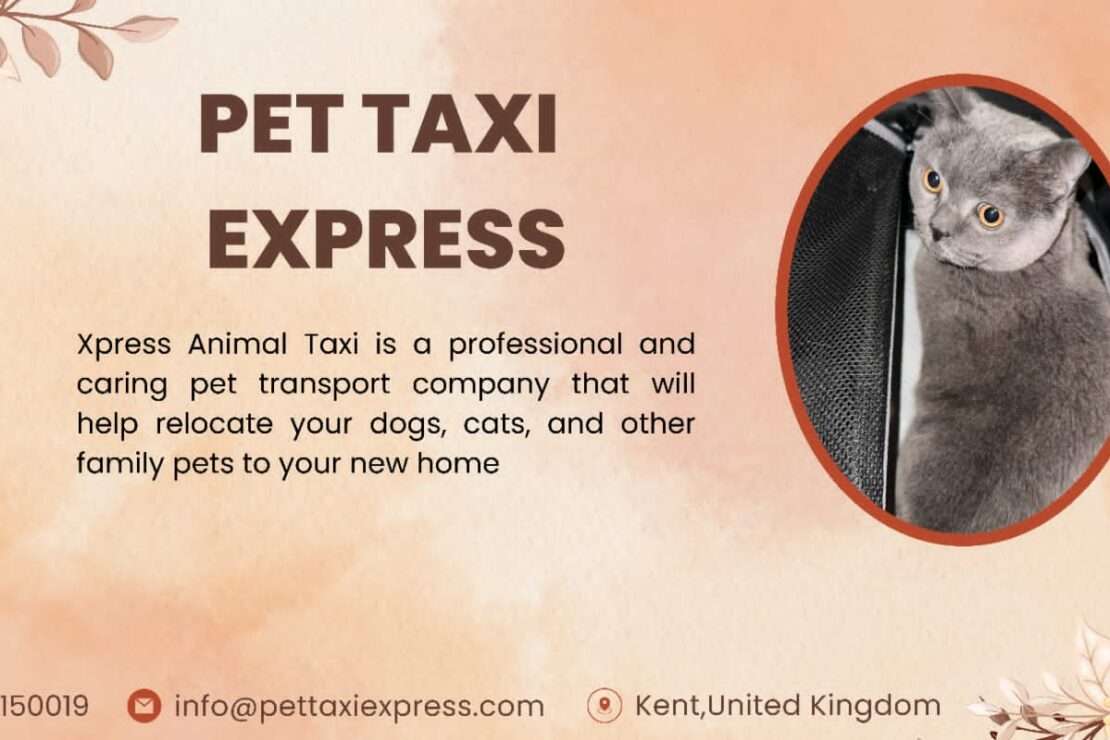  Pet Moving Service 2024: Expert Guidance for Stress-Free Relocation