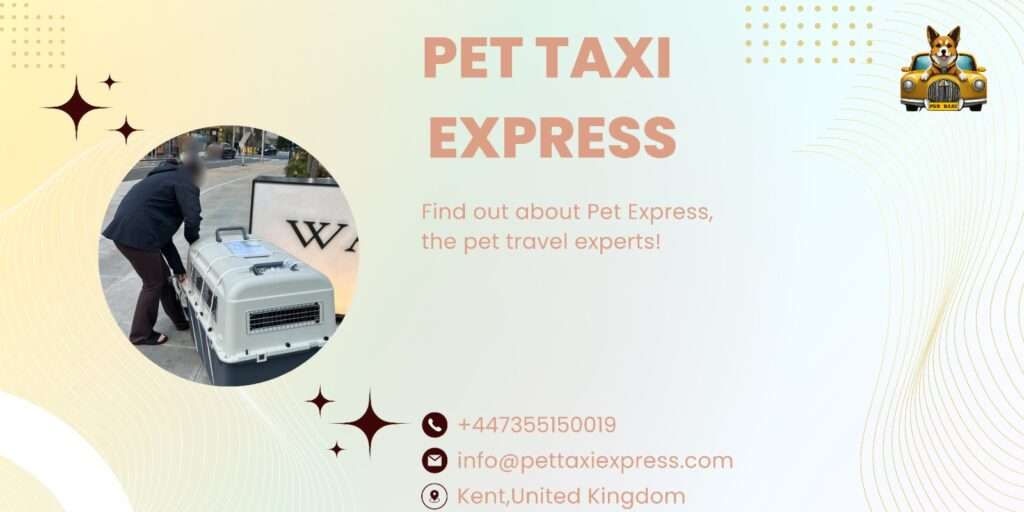 pet moving service