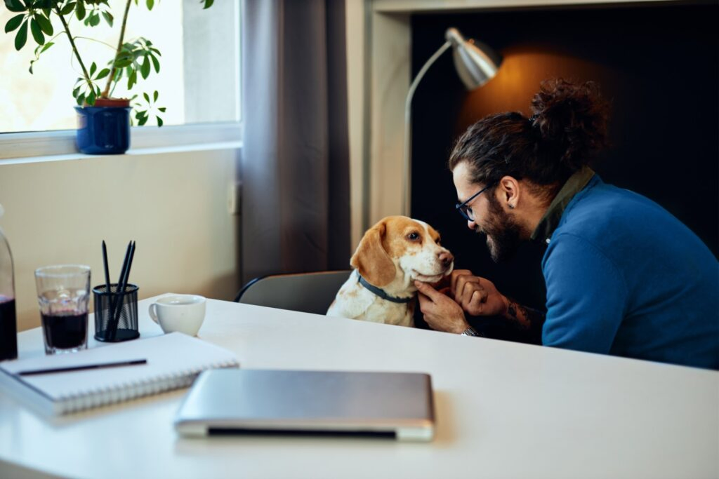  Winged Wags: Safely Flying with Your Best Furry Friend in 2024