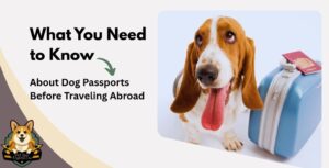 What You Need to Know About Dog Passports Before Traveling Abroad