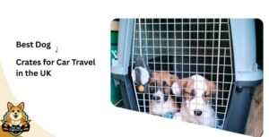 Crates for Car Travel in the UK (2025 Guide)