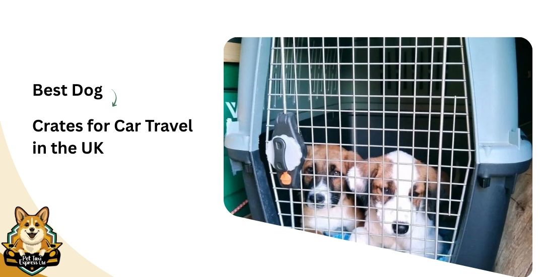 Crates for Car Travel in the UK (2025 Guide)
