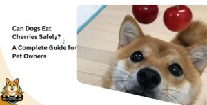 Can Dogs Eat Cherries Safely? A Complete Guide for Pet Owners