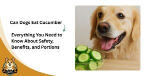 Can Dogs Eat Cucumber? Everything You Need to Know About Safety, Benefits, and Portions