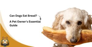 Can Dogs Eat Bread? A Pet Owner's Essential Guide